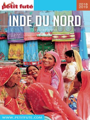 cover image of INDE DU NORD 2018/2019 Petit Futé